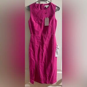 Dress the Population Pink Sleeveless Dress